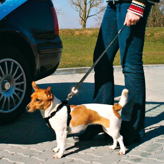 Ceinture De Sécurité Voiture Pour Chiens Martin Sellier Intégrée Dans Une  Petite Pochette 